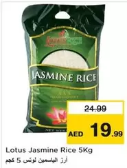 Lotus - Jasmine Rice