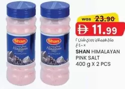 Pink - HIMALAYAN PINK SALT