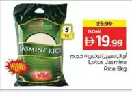 Lotus - Jasmine Rice