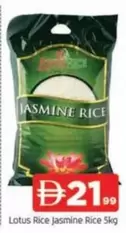 Lotus - Jasmine Rice
