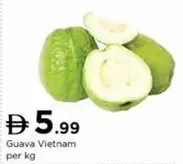 Guava Vietnam