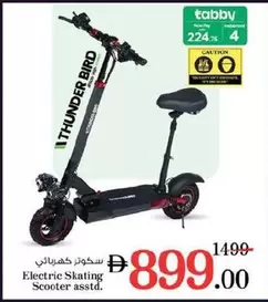 Electric Skating Scooter asstd.