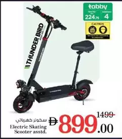 Electric Skating Scooter