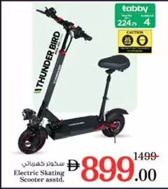 Electric Skating Scooter asstd.