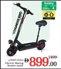 Electric Skating Scooter asstd.