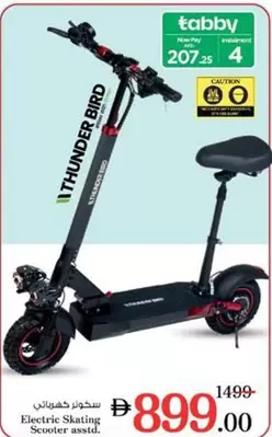 Electric Skating Scooter asstd.