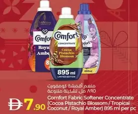 Amber - Fabric Softener Concentrate (Cocoa Pistachio Blossom / Tropical Coconut / Royal )