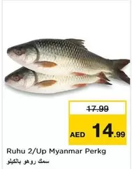 Ruhu 2/Up Myanmar Perkg