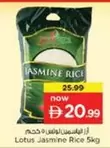 Lotus - Jasmine Rice