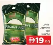 Lotus - Jasmine Rice