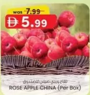 ROSE APPLE CHINA