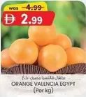 Orange - ORANGE VALENCIA EGYPT
