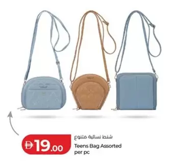 شنطة نسائيه متنوع