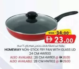 NON-STICK FRY PAN WITH GLASS UD 24 CM HW1100