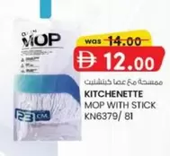 MOP WITH STICK KN6379/ 81
