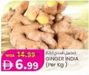 Ginger - GINGER INDIA