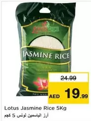 Lotus - Jasmine Rice