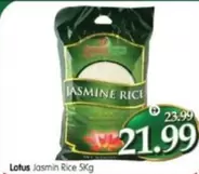 Lotus - Jasmin Rice