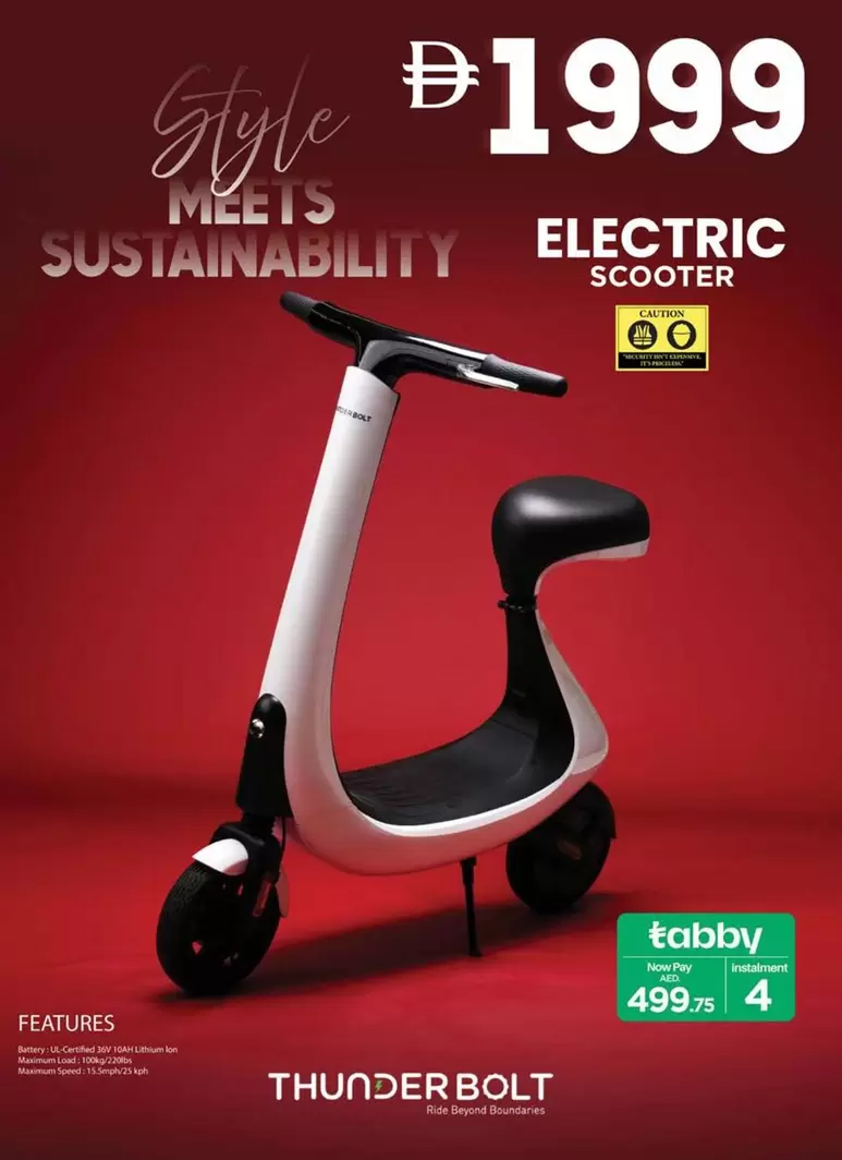 ELECTRIC SCOOTER
