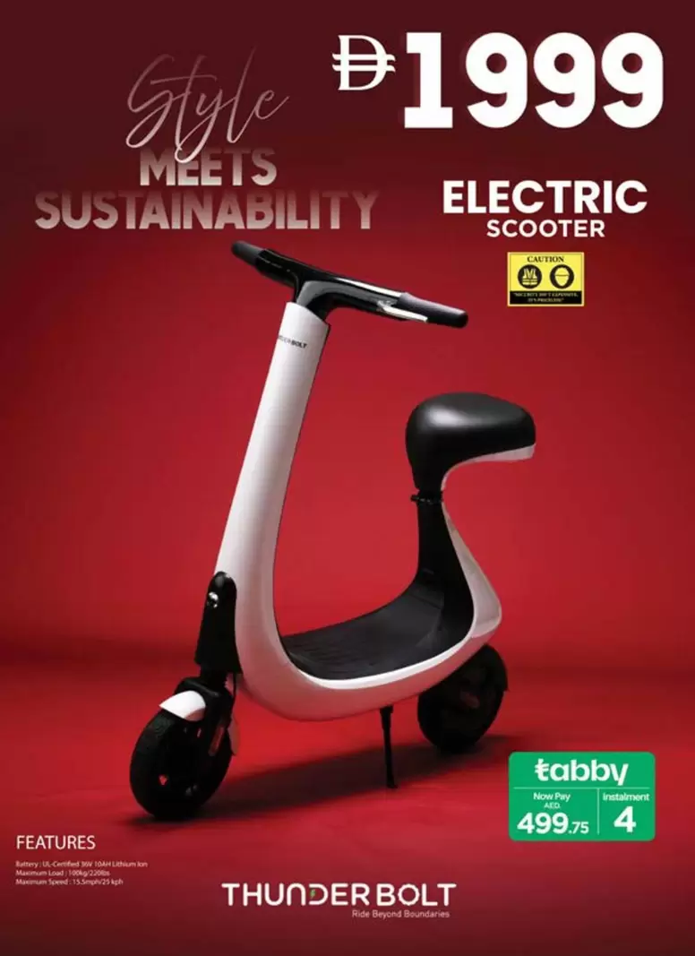 ELECTRIC SCOOTER