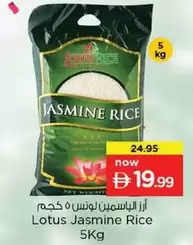Lotus - Jasmine Rice