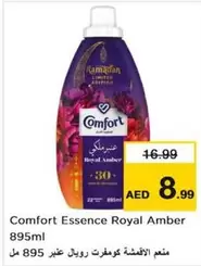 Amber - Essence Royal
