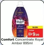Amber - Concentrate Royal  895ml
