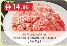 INDIAN BEEF BRAIN DEFROSTED