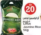 Lotus - Jasmine Rice