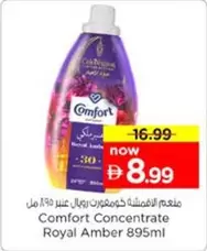 Amber - Comfort Concentrate
