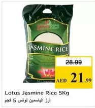 Lotus - Jasmine Rice