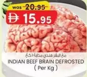 INDIAN BEEF BRAIN DEFROSTED