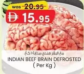 INDIAN BEEF BRAIN DEFROSTED