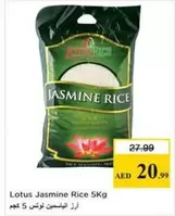 Lotus - Jasmine Rice