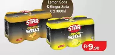 Ginger - Lemon Soda &  Soda