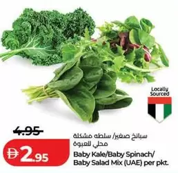 Baby Kale/Baby Spinach/Baby Salad Mix
