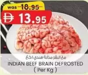 INDIAN BEEF BRAIN DEFROSTED