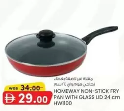 NON-STICK FRY PAN WITH GLASS LID 24 CM HW1100