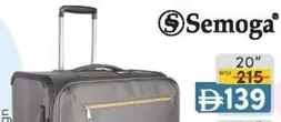 20" Luggage