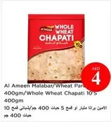 Whole Wheat Chapati