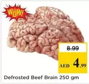 Gm - Defrosted Beef Brain
