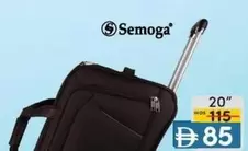 20" Luggage