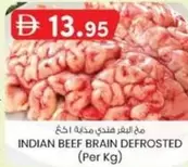 INDIAN BEEF BRAIN DEFROSTED