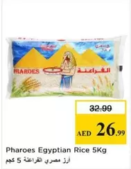 Egyptian Rice