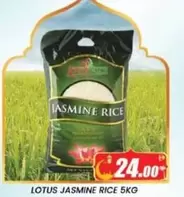 Lotus - JASMINE RICE