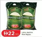 Lotus - Jasmine Rice