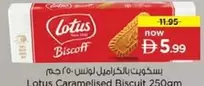 Lotus - Biscoff Caramelised Biscuit