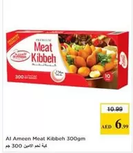 Meat Kibbeh