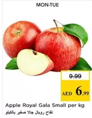 Apple Royal Gala Small