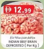 INDIAN BEEF BRAIN DEFROSTED